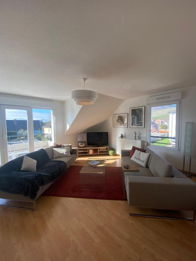 Appartement A2 Pas De Colmar Terrasse,Parking à Wintzenheim Extérieur photo